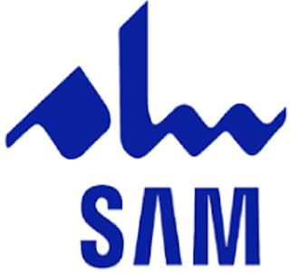 سام SAM
